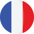 Paris flag